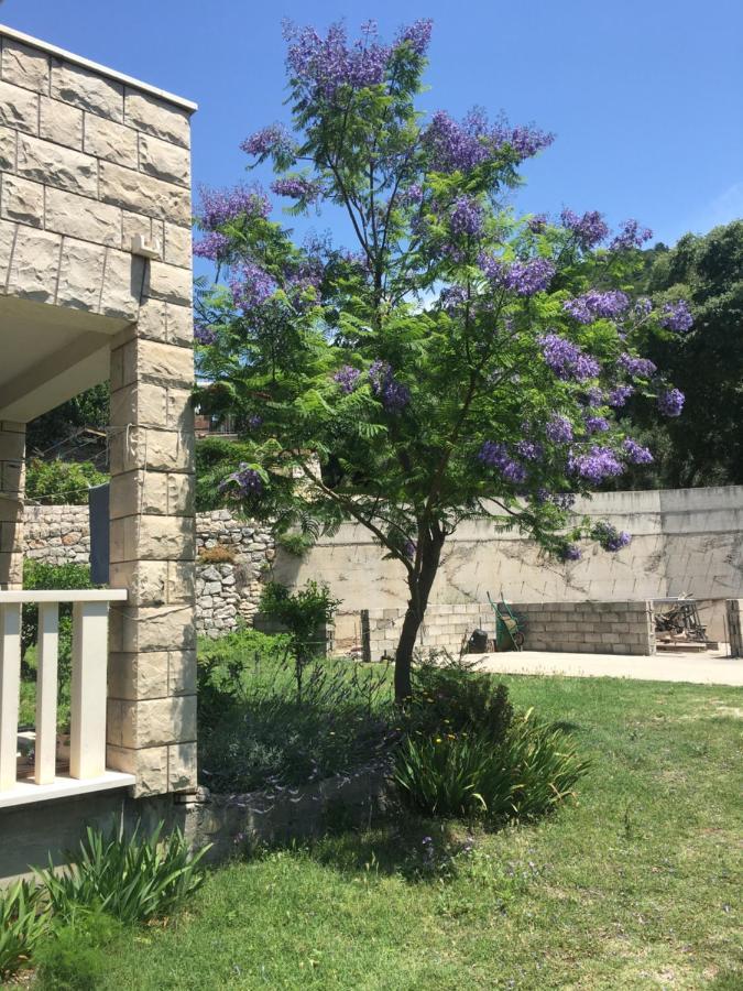 Apartmani Domenika Žuljana Exteriér fotografie